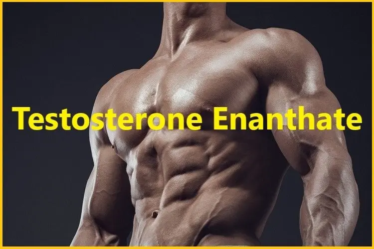 Testosterone Enanthate