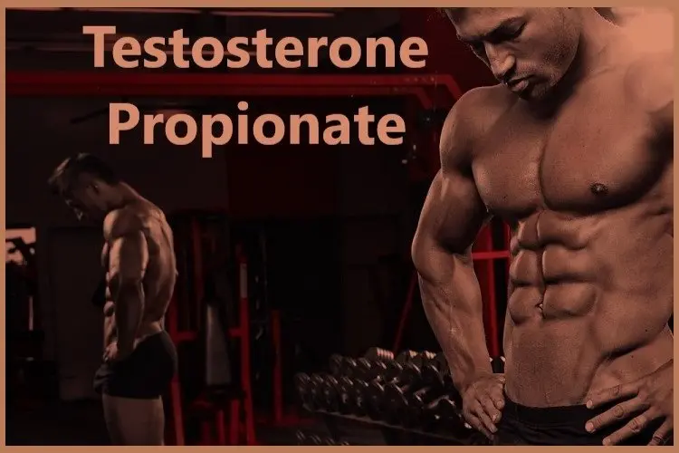 Testosterone Propionate