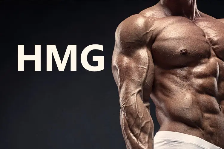 Human Menopausal Gonadotropin