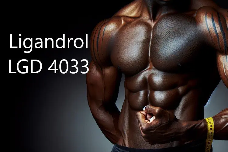 Ligandrol LGD 4033