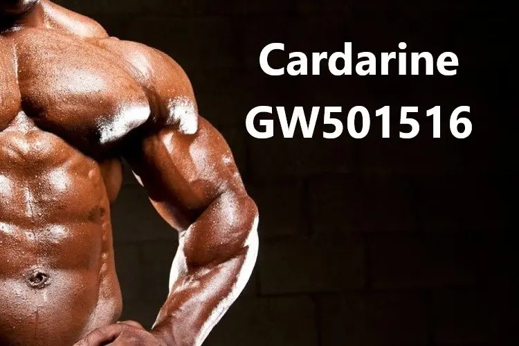 Cardarine (GW501516)