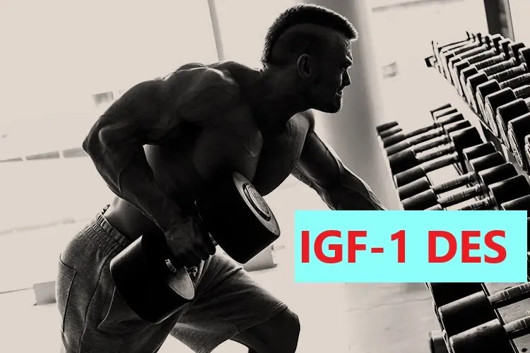 IGF-1 DES