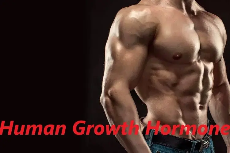 Human Growth Hormone
