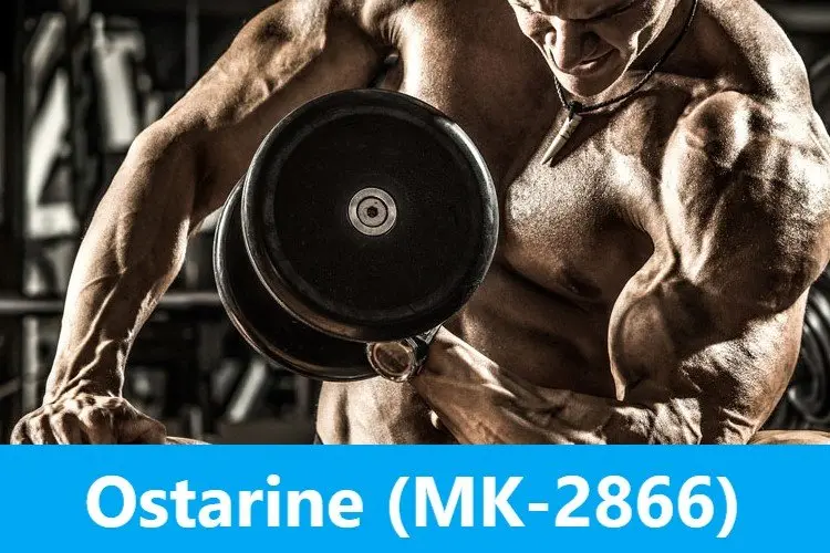 Ostarine (MK-2866)