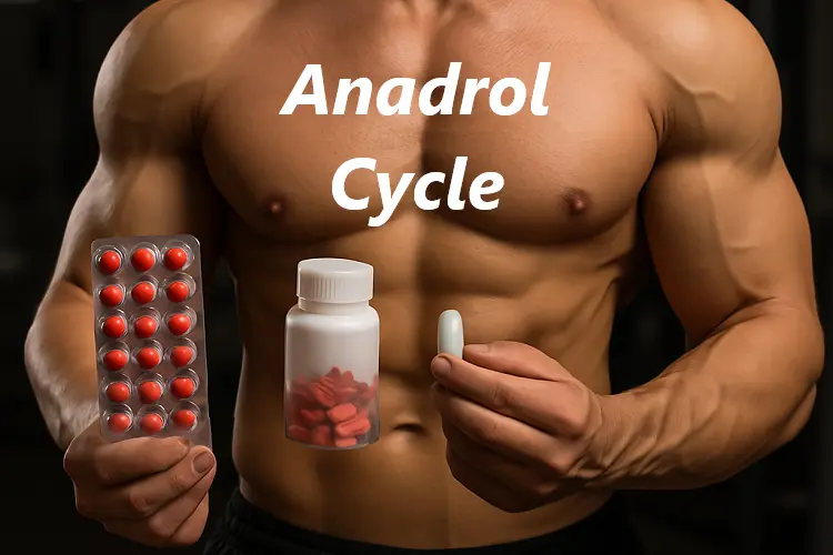 Anadrol Cycle