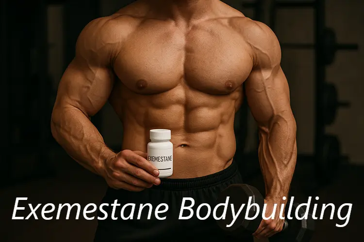 Exemestane Bodybuilding