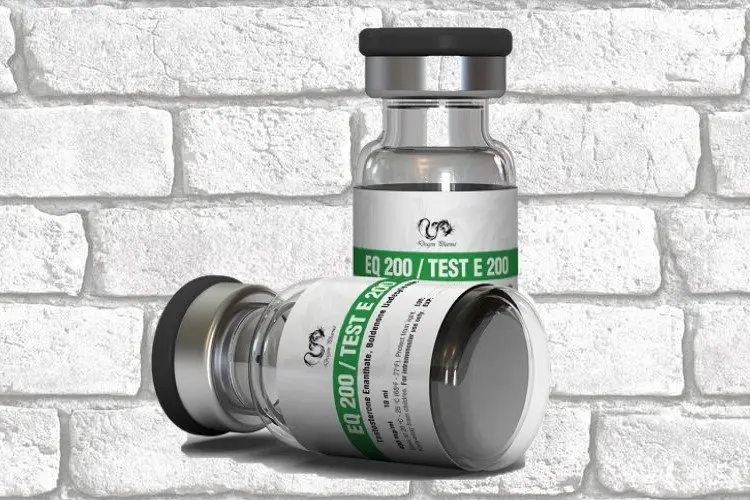 Dragon Pharma EQ 200/Test E 200