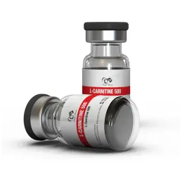 L-Carnitine 500