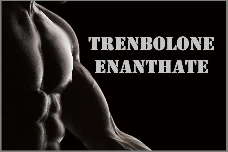 Trenbolone Enanthate